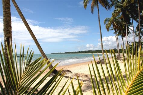 Di Rias Em Porto Seguro E Voos De Ida E Volta Saindo De Bh Por R