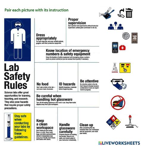 Lab safety rules pictures & theory worksheet | Lab safety rules, Lab ...