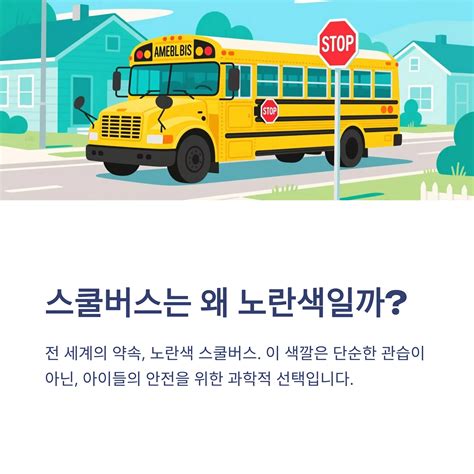 Why Are School Buses Yellow? 3 Scientific Secrets That Aren't Just