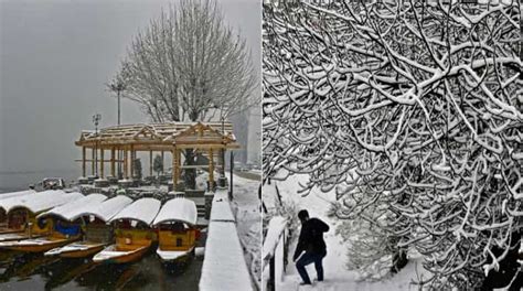 Fresh Snowfall In Kashmir Rains Lash Plains India News News