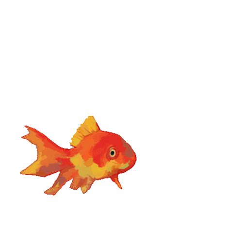 Transparent Fish Gif
