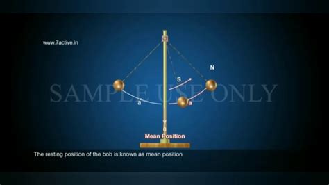 Simple Harmonic Motion Youtube