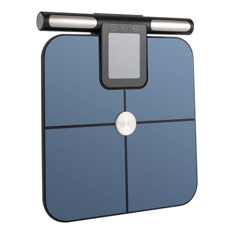 SUNYOU Scale | Wayfair