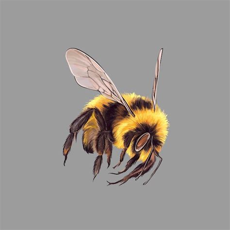 Dibujo Vectorial Realista De Una Abeja Hermosa Vector Premium