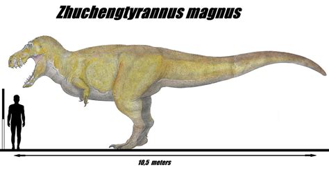 size comparisons on Tyrannosaurids - DeviantArt