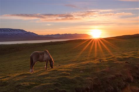 Midnight Sun in Iceland – When and where to see it – Iceland Premium Tours