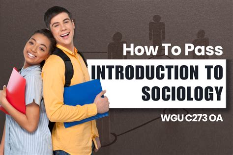 Wgu C How To Pass Introduction To Sociology Oa