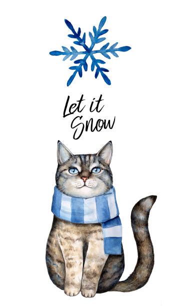 Best Snow Cat Illustrations, Royalty-Free Vector Graphics & Clip Art - iStock