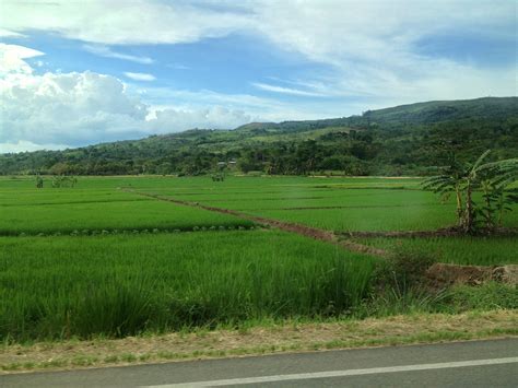 Elevation of Tarapoto, Peru - Topographic Map - Altitude Map