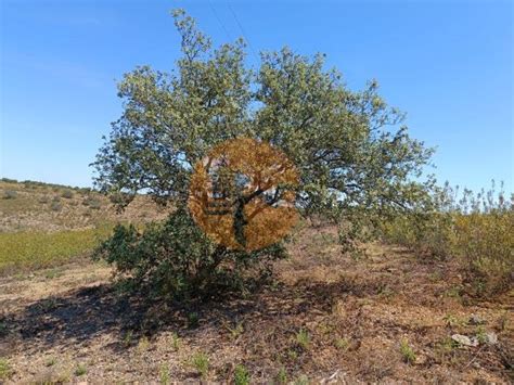 Terreno Venda Em Odeleite Castro Marim Idealista