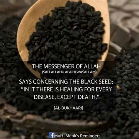 Pin By Hani On All About Islam Black Seed Islamic Teachings Seeds