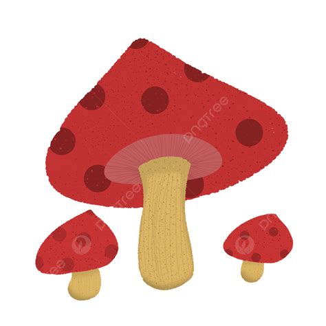 Wild Mushroom Clipart Transparent Png Hd Red Wild Mushroom Mushroom