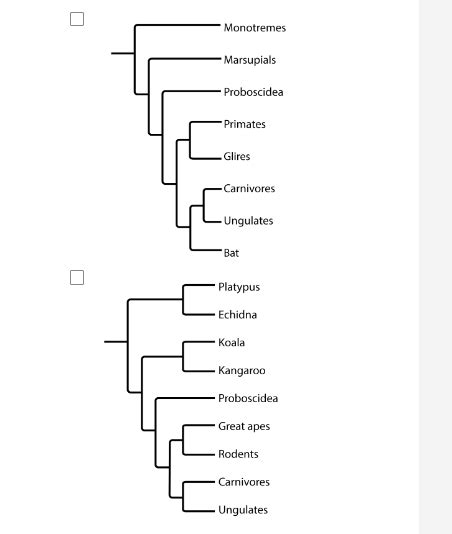 Solved The phylogenetic tree shows a simplified hypothesis | Chegg.com 