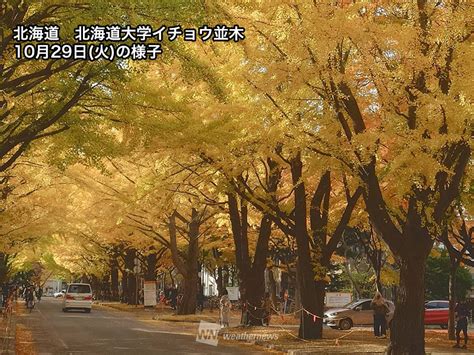 紅葉 三連休の見頃スポット情報 関東も北部から色づきエリアが広がるウェザーニューズ Goo ニュース