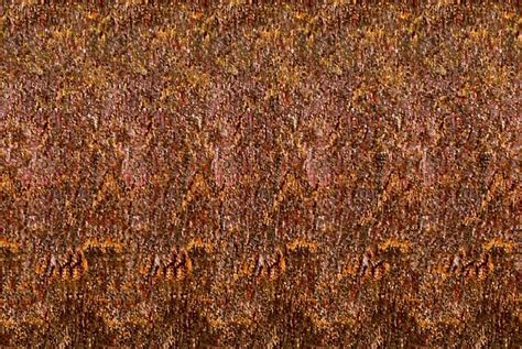 Pin By Lisa Jo On Magic Eye Illusions Stereograms 3Ds In 2024