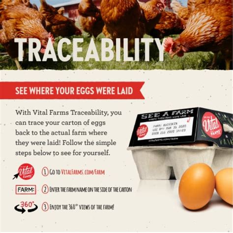 Vital Farms® Pasture Raised Large Eggs 18 Ct Kroger