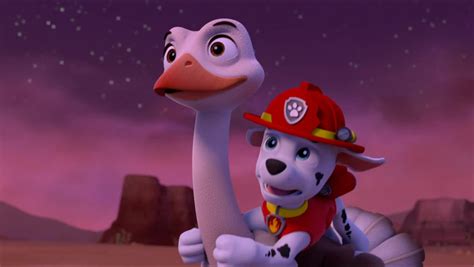 Marshall Marshall Paw Patrol Photo 41148726 Fanpop