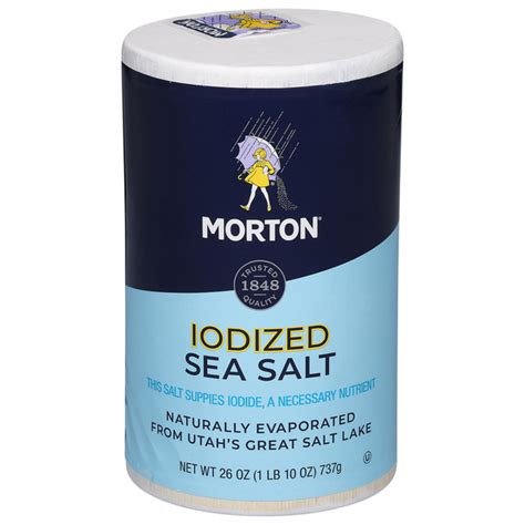 Publix Morton All Purpose Iodized Sea Salt Textured Sea Salt For