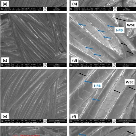 Sem Images Of The Raw Wool Fabric Samples With Magnifications Of X