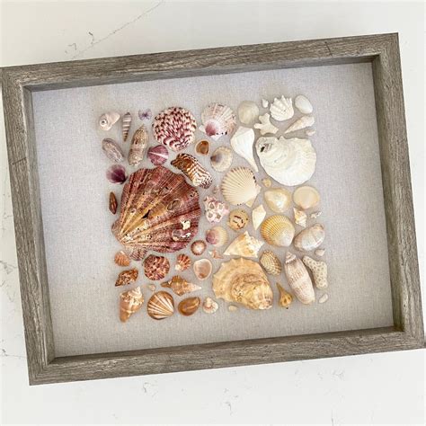 sea shell art ideas 1