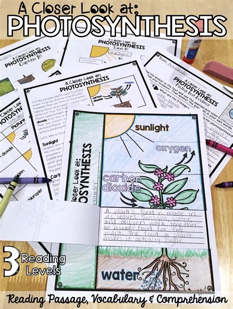 Differentiated Reading Passages Vocabulary And Comprehension Everything You Need To Te