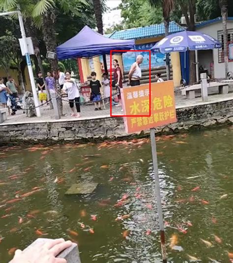 女子公园自带鱼食喂鱼，遭卖鱼食大爷辱骂：鱼是我的，你不要脸看看头条中华网