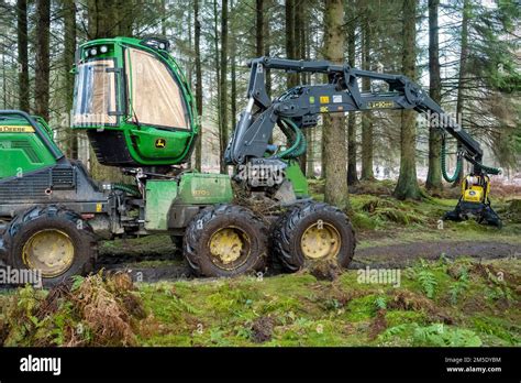 La cabina de explotación forestal la pluma y la cabeza de la