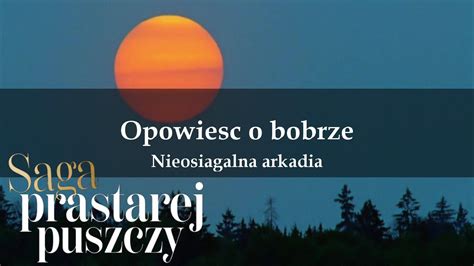 Filmy Koło Łowieckie nr 22