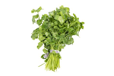 Cilantro - Fresh Avenue