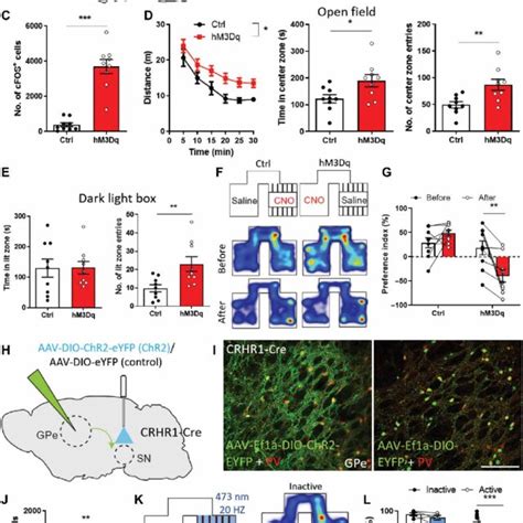 Stimulation Of Gpe Crhr Neurons Promotes Locomotor Activation And