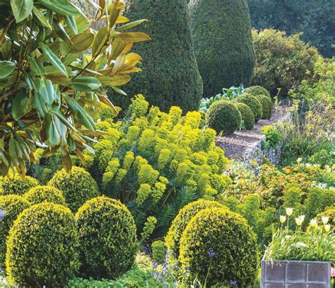 Building on history: The gardens at Benington Lordship, Stevenage, Hertfordshire