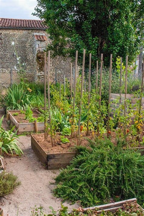 Comment Faire Un Jardin Potager En Permaculture Marie Claire