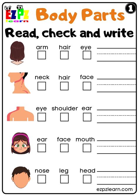 Body Parts Read Check and Write Worksheets for Kids and ESL PDF ...