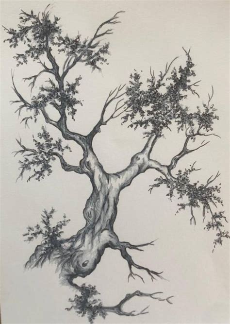 Autumn Tree Sketch Drawing by Giuseppe Marzo | Saatchi Art