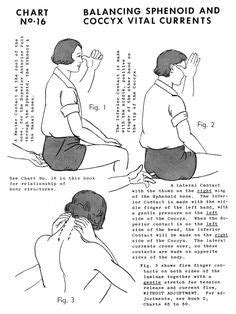 Polarity Therapy Volume 2 Book 5 Chart 16 Polarity Therapy Massage