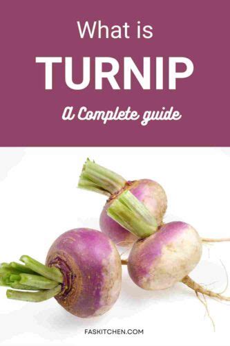 Turnip Nutrition Benefits How To Use Buy Store Turnip A