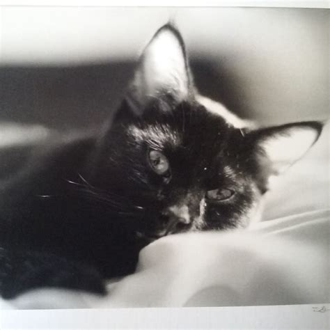 Wyoming Road and Weather Conditions Reports Updates | Road from Casper