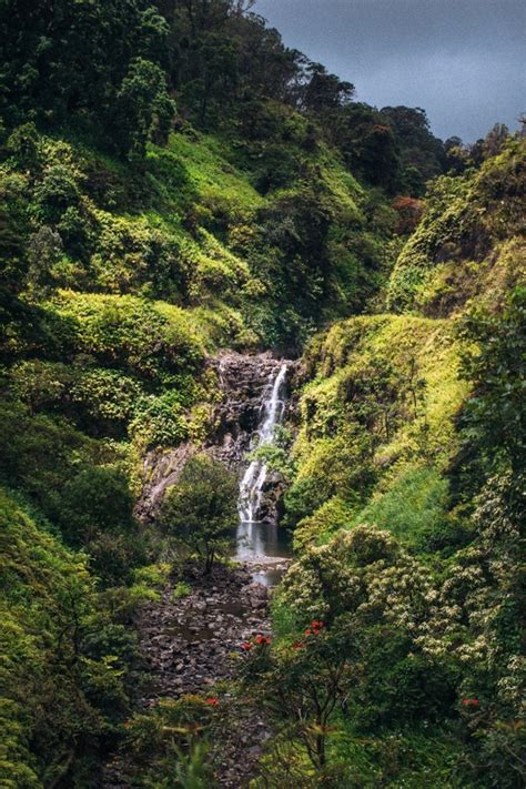 Road to Hana Maui - Photorator