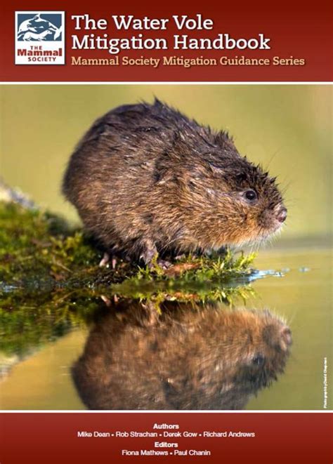 New Water Vole Mitigation Handbook Ecology By Design