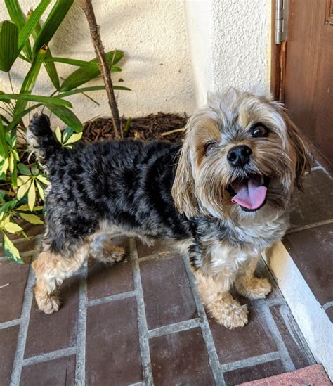 We had fun chasing squirrels! : r/aww