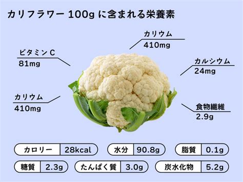 カリフラワーは生食できる？メリットと注意点、調理のポイントを解説 Fily