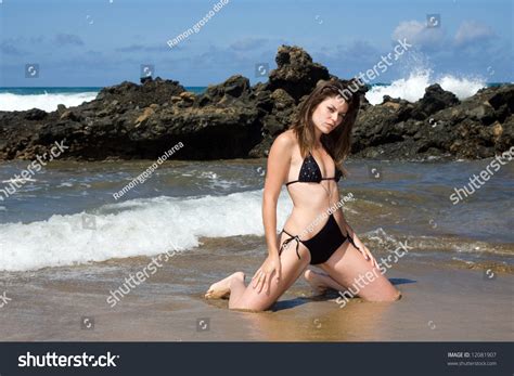 Sexy Young Woman Black Bikini Beach库存照片12081907 Shutterstock