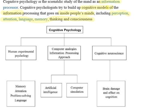 Cognitive Approach A Journey Through Psychology