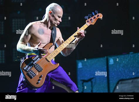 Flea Bass Red Hot Chili Peppers Live In Buenos Aires Argentina Stock Photo Alamy
