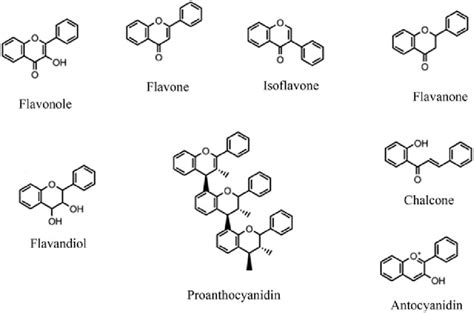 Chemical Structure Of Flavonoids