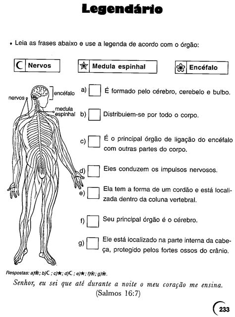 ATIVIDADES CORPO HUMANO 3 4 5 6 ANOS EXERCÍCIOS CIÊNCIAS PARA