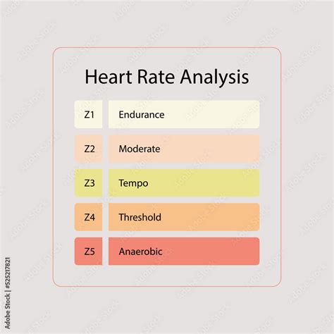 Heart Rate Zones Vector Illustration Pulse Intensity Educational