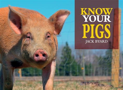 Know Your Pigs Old Pond Books Breeds Of Pig Hog And Swine From