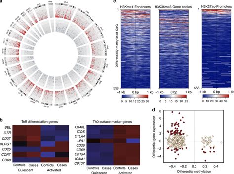 Dynamic Remodeling Of Epigenetic Landscape In Naive T Cells Following