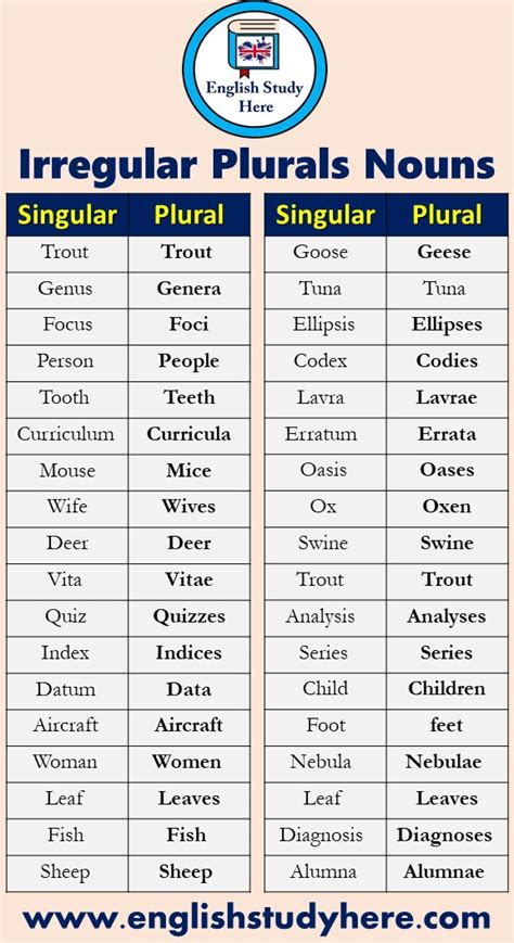 Sentences With Irregular Plural Nouns